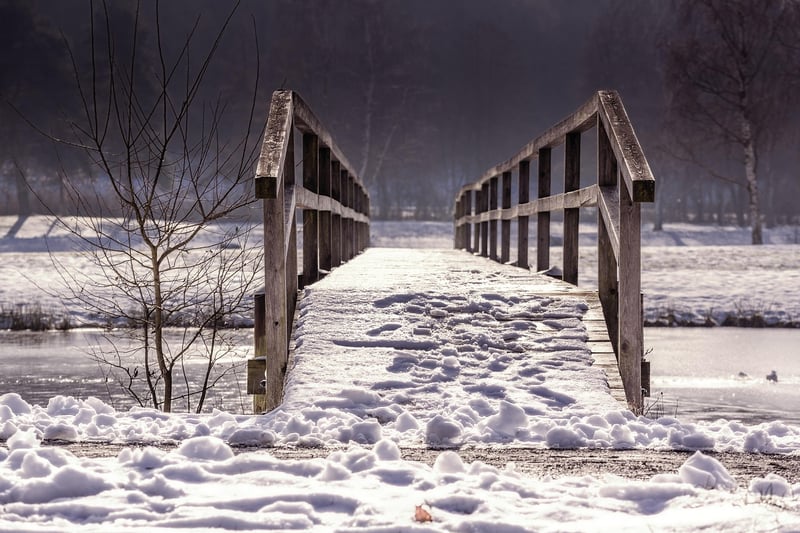 Magic Bridges
